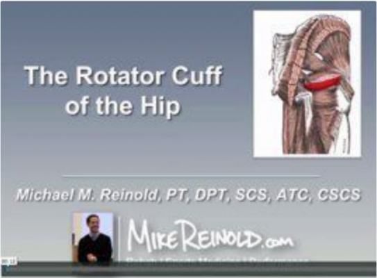 Mike Reinold - Inner Cirde - Hip Rotator Cuff