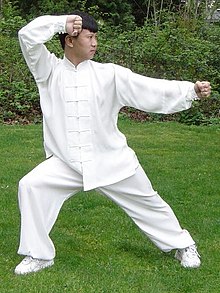 Image result for Ma Hong - Chen Style Tai Chi The Secret of Jin Release (2009)"