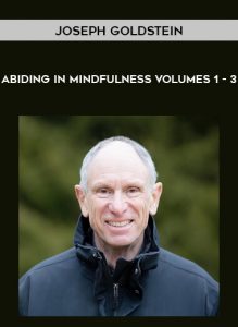 Joseph Goldstein - Abiding in Mindfulness Volumes 1 - 3 by https://illedu.com