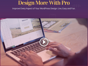 Elementor Pro – Improve Every Aspect of Your WordPress Design Live, Easy and Fun