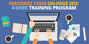 Seointelligenceagency And Kyle Roof – Maximize Your OnPage Seo 4-Week Training