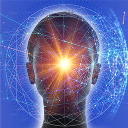  /></p>
<p>This wisdom area has been previously and falsely elevated to the position of “Boss/King/Queen” when it is fundamentally meant to be a receiving station and repository for the input from all the other wisdom areas of the body.</p>
<p>When a person has an integrated brain, there’s a flow of information pouring in constantly from the gut, the heart, the pelvis, the bones, the legs and feet, and all our other cells… igniting the intelligence of our whole system. When this occurs, the brain can create wise strategies to navigate life.</p>
<p>When we understand that a balanced, integrated brain is a vital part of our whole navigational team, it’s easier to trust what we know, what we perceive, and how we can thrive — especially in challenging times.</p>
<p>In these two sessions, we’ll explore how the prefrontal cortex mediates and calms trauma responses when supported by the rest of the body. And how it helps us step back into the driver’s seat of our conscious awareness when challenging traumatic memories arise or when current events trigger old unprocessed trauma.</p>
<p>When the integrated brain is partnered with other key wisdom areas, the fight-flight-freeze response to trauma or challenge can be gently held in a loving, healing way that allows for integration and transformation to take place. This allows a deep relaxation to return to a system often hungry for a sense of peace and joy.</p>
<p>When your integrated brain is fully on board, your creativity functions optimally and your soul’s purpose can manifest. The mapmaker and strategic planning function of this area is no longer trying to control things from a top-down, disconnected perspective, but is now in service to the soul quality of who you are.</p>
<p>The perceptual lens is wide open when this wisdom area is engaged, offering a more expansive view of yourself and the world. By definition, the integrated brain’s role is one of helping us integrate it all — from a feeling of safety to a sense of joy, freedom, and wholeness.</p>
<p>In this module, you’ll discover:</p>
<ul>
<li>The anatomy of the brain when it functions optimally</li>
<li>The structures that are overactive in current trauma situations or during traumatic memory recall</li>
<li>How to repair and rewire your nervous system for healing and growth</li>
<li>Advanced protocols for encouraging growth and healing after trauma</li>
<li>How to connect your brain to the wisdom areas elsewhere in the body for maximal balance, joy, creativity, and a deeper sense of pleasure in being alive</li>
<li>How to live from a fully integrated brain, which means deeply connected to the rest of the wisdom areas</li>
</ul>
<h3><em>Reclaiming Your 6 Body Wisdom</em> Areas Introductory Training Is Included!</h3>
<p>This program builds upon the core teachings from <em>Reclaiming Your 6 Body Wisdom Areas</em> 7-module course. When you purchase the 3-month advanced program, you get access to this powerful resource as well! You can complete this material at your leisure, but it’s better to begin before the new sessions start.</p>
<p>In this 7-module transformational course, Suzanne guides you to activate your body’s capacity for dissolving blocks and traumas so you thrive on every level — physically, emotionally, mentally, and spiritually. You’ll learn to establish a strong, intimate relationship with your unique physical self — and your innate guidance system — for a lifetime of greater intuition, vitality, pleasure, and joy.</p>
<p>Each weekly contemplation and training session will build harmoniously upon the previous ones so you’ll develop a complete holistic understanding of the practices, tools, and principles you’ll need to sustain a strong, deep, intimate relationship with your own unique physical self for a lifetime of greater awareness and vitality.</p>
<ul>
<li><strong>Module 1: Bust the 5 Body Myths Derailing Your Body Awareness</strong></li>
<li><strong>Module 2: Discover & Reclaim the ‘Front’ & ‘Back’ of Your Heart</strong></li>
<li><strong>Module 3: Embrace the Wisdom of Your Gut & Expand Your Instinctual Knowing</strong></li>
<li><strong>Module 4: Open to the Ancient Primal Power of Your Pelvis for More Joy & Sensuality</strong></li>
<li><strong>Module 5: Use Your Legs & Feet to Step Into Your Healthy Energy Flow</strong></li>
<li><strong>Module 6: Claim the Clarity & Steadiness in Your Bones to Live From Your Core</strong></li>
<li><strong>Module 7: Discover Your Brain’s Power to Interconnect With All Your Wisdom Areas</strong></li>
</ul>
<p>PLUS, you’ll get the Body Wisdom Bonus Collection</p>
<ul>
<li><strong>Body Intelligence Summit 2016</strong><br />
<em>Complete Package of Streaming Videos, Downloadable Audio, and PDF Transcripts (Valued at $197.00)</em></li>
<li><strong>What Matters Most</strong><br />
<em>Audio Interview With Suzanne Scurlock and Paul Samuel Dolman</em></li>
<li><strong>Basic Relaxation & Energizing Exercises</strong><br />
<em>Audio Package From Suzanne Scurlock</em></li>
</ul>
<p><em>Reclaiming Your 6 Body Wisdom Areas</em> original price was $297.00, and is included in your registration for the advanced course.</p>
<div id=