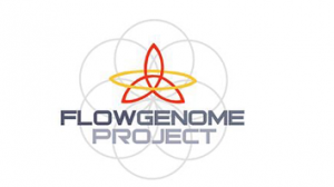 flowgenomeproject.com - Flow Fundamentals Online Training