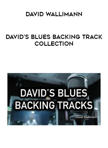 David Wallimann - DAVID'S BLUES BACKING TRACK COLLECTION