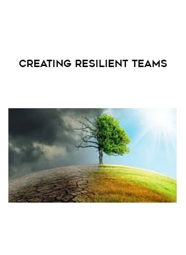 Creating resilient teams