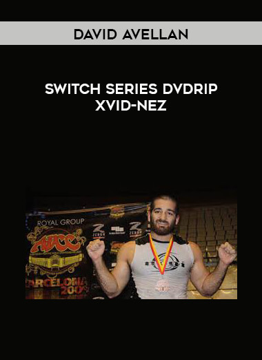 David Avellan Switch Series DVDRip Xvid-nez