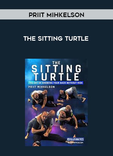 The Sitting Turtle - Priit Mihkelson