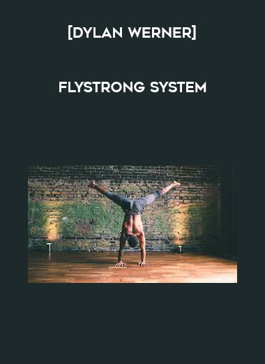 [Dylan Werner] FlyStrong System