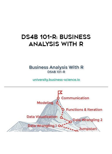 DS4B 101-R: Business Analysis With R