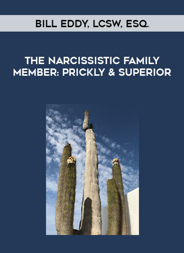 Bill Eddy, LCSW, Esq. - The Narcissistic Family Member: Prickly & Superior
