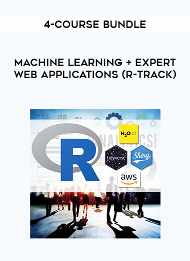4-Course Bundle - Machine Learning + Expert Web Applications (R-Track)