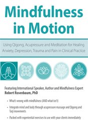 Robert Rosenbaum - Mindfulness in Motion: Using Qigong, Acupressure and Meditation for Healing Anxiety, Depression, Trauma and Pain in Clinical Practice