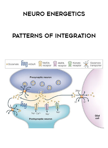 Neuro Energetics - Patterns of Integration courses available download now.