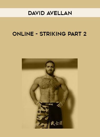 David Avellan Online - Striking Part 2 720p courses available download now.