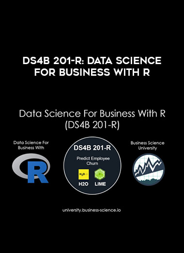 DS4B 201-R: Data Science For Business With R courses available download now.