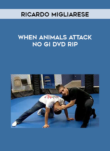Ricardo Migliarese When Animals Attack No Gi DVD Rip courses available download now.