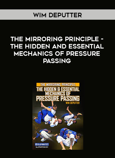 The Mirroring Principle-The Hidden and Essential Mechanics of Pressure Passing by Wim Deputter courses available download now.
