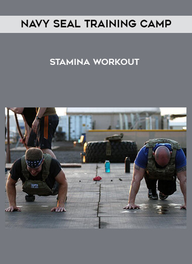 Navy Seal Training Camp - Stamina Workout courses available download now.