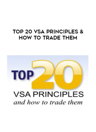 Top 20 VSA Principles & How to Trade Them courses available download now.