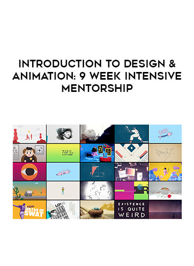 Introduction to Design & Animation: 9 Week Intensive Mentorship courses available download now.