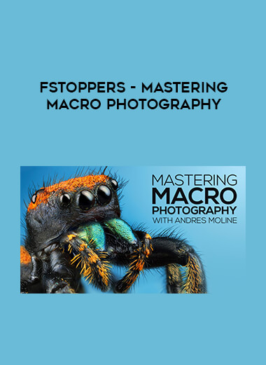 Fstoppers - Mastering Macro Photography courses available download now.