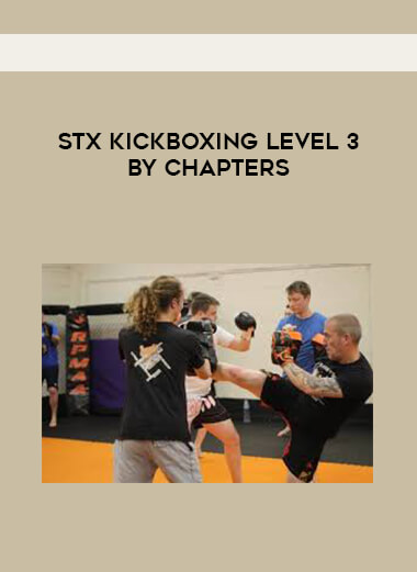 stx kickboxing level 3 by chapters courses available download now.