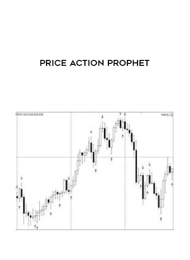 Price Action Prophet courses available download now.