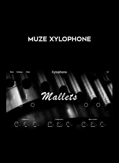 Muze Xylophone courses available download now.