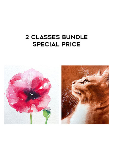 2 Classes BUNDLE Special Price courses available download now.