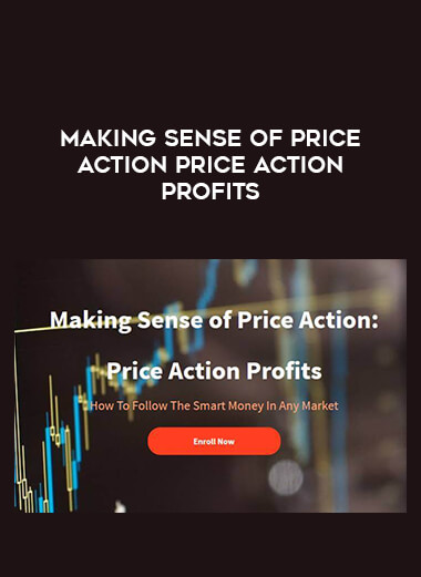 Making Sense of Price Action Price Action Profits courses available download now.
