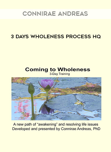 Connirae Andreas - 3 Days Wholeness Process HQ courses available download now.