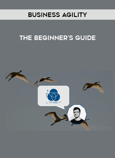 Business Agility - the Beginner's Guide courses available download now.