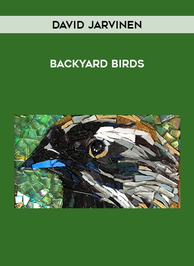 David Jarvinen - Backyard Birds courses available download now.