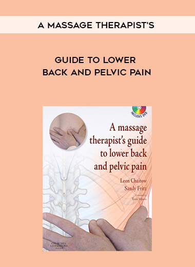 A massage therapist's guide to lower back and pelvic pain courses available download now.