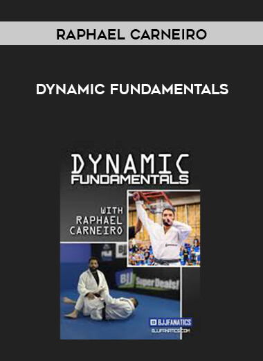 Dynamic Fundamentals by Raphael Carneiro courses available download now.