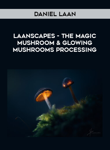 Laanscapes - The Magic Mushroom & Glowing Mushrooms Processing by Daniel Laan courses available download now.