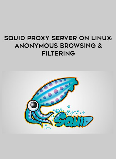 Squid Proxy Server On Linux: Anonymous browsing & filtering courses available download now.
