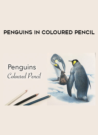 Penguins in Coloured Pencil courses available download now.