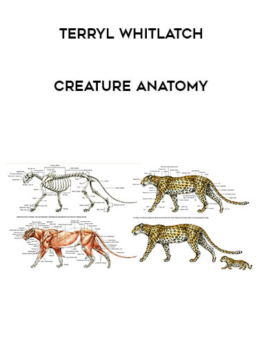 Terryl Whitlatch - Creature Anatomy courses available download now.