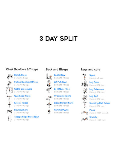 3 Day Split courses available download now.