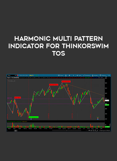 Harmonic Multi Pattern Indicator for ThinkOrSwim TOS courses available download now.