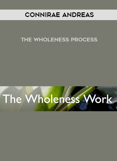 Connirae Andreas – The Wholeness Process courses available download now.