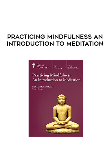 Practicing Mindfulness An Introduction to Meditation courses available download now.