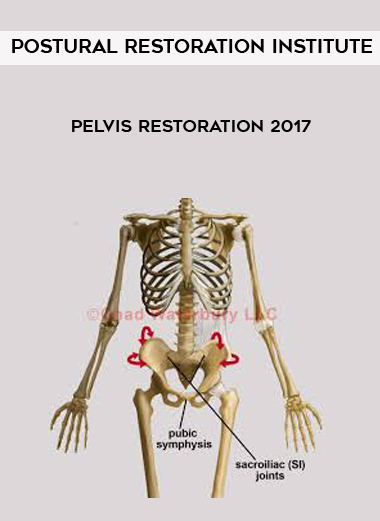 Postural Restoration Institute - Pelvis Restoration 2017 courses available download now.