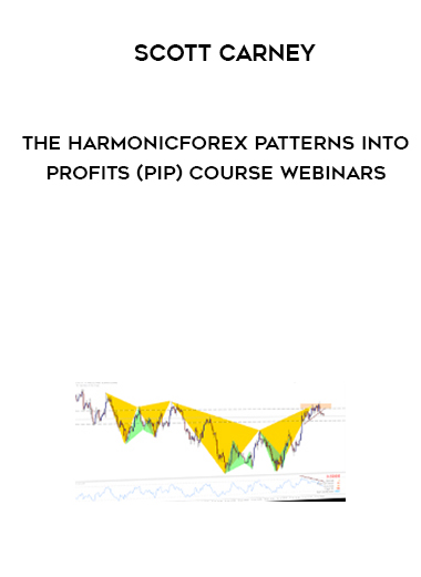 Scott Carney – The HarmonicForex Patterns into Profits (PIP) Course Webinars courses available download now.