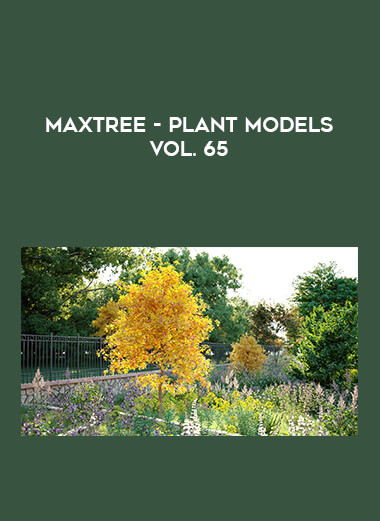 Maxtree - Plant Models Vol. 65 from https://illedu.com