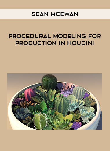 Procedural Modeling for Production in Houdini with Sean McEwan from https://illedu.com