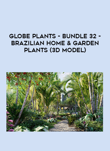 Globe plants - Bundle 32 - Brazilian Home & Garden Plants (3D Model) from https://illedu.com