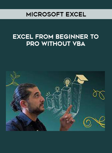 Microsoft Excel - Excel from Beginner to Pro without VBA from https://illedu.com
