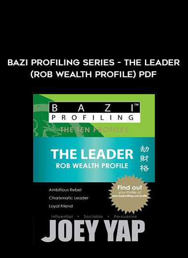 BaZi Profiling Series - The Leader (Rob Wealth Profile)PDF from https://illedu.com